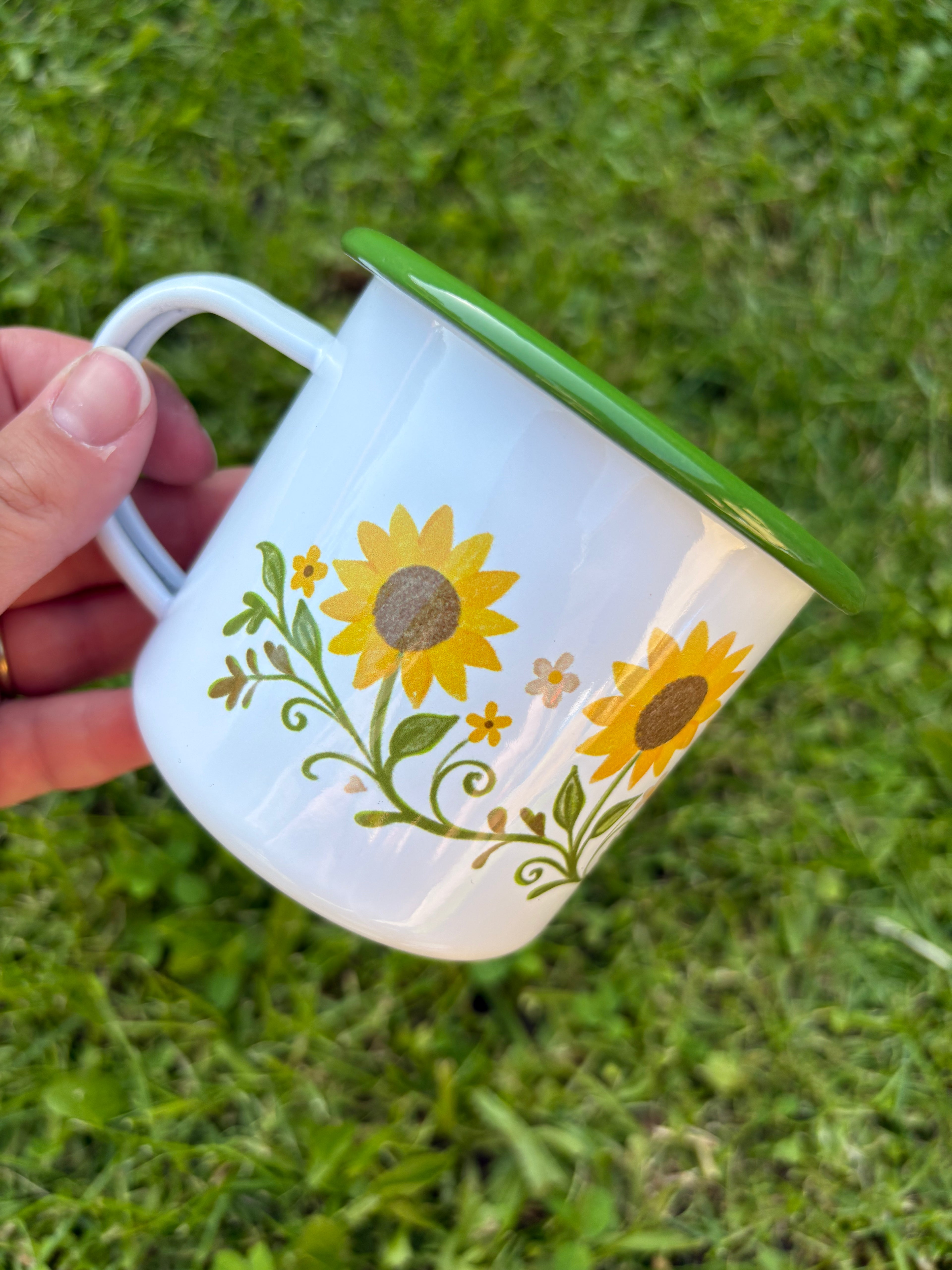 Plecháček Slunečnice