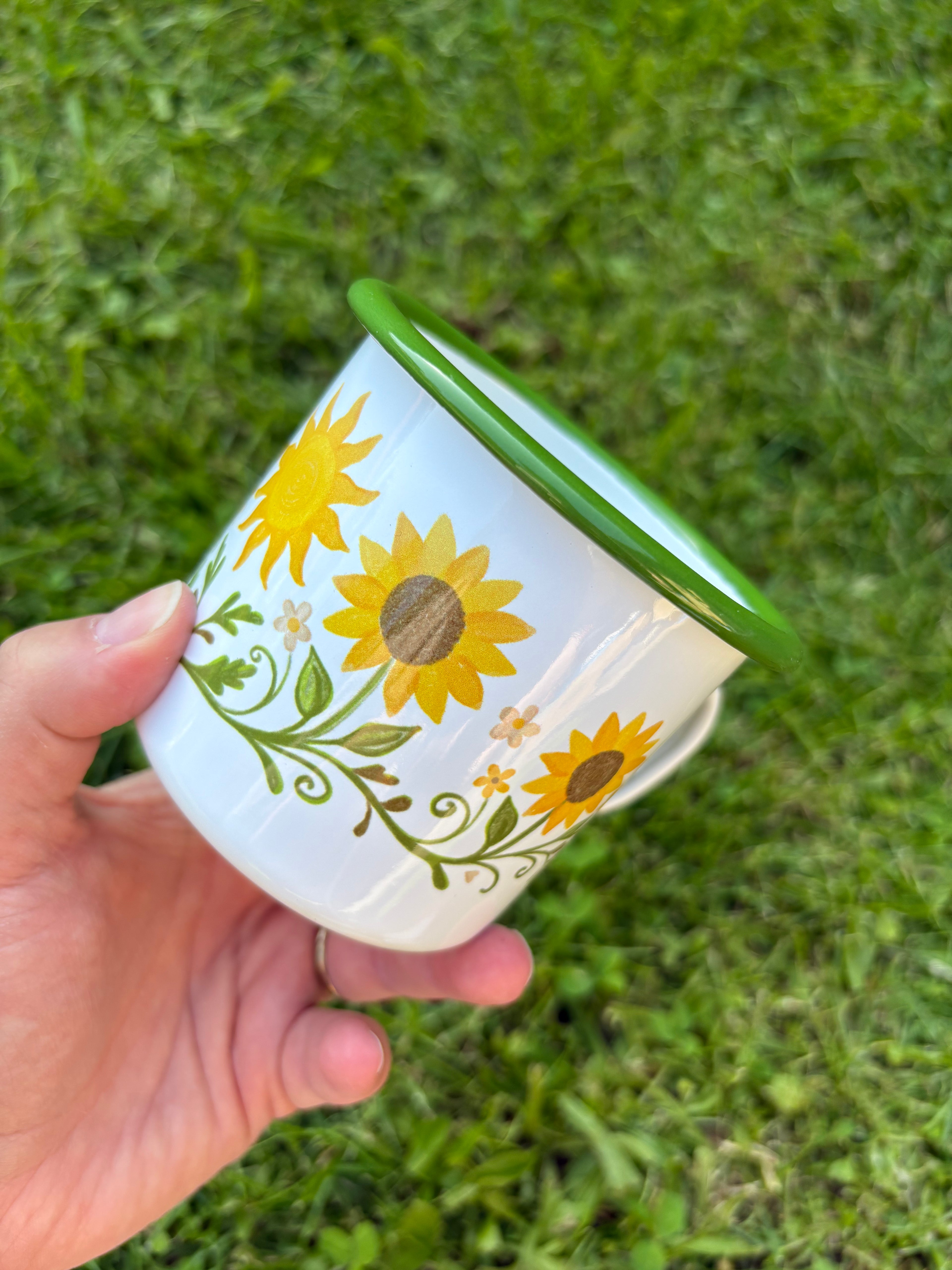 Plecháček Slunečnice