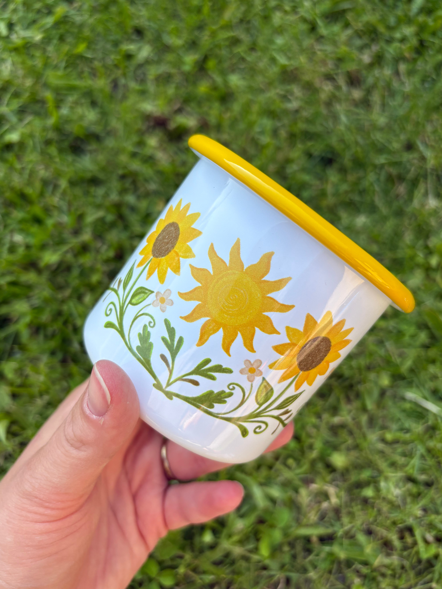 Plecháček Slunečnice