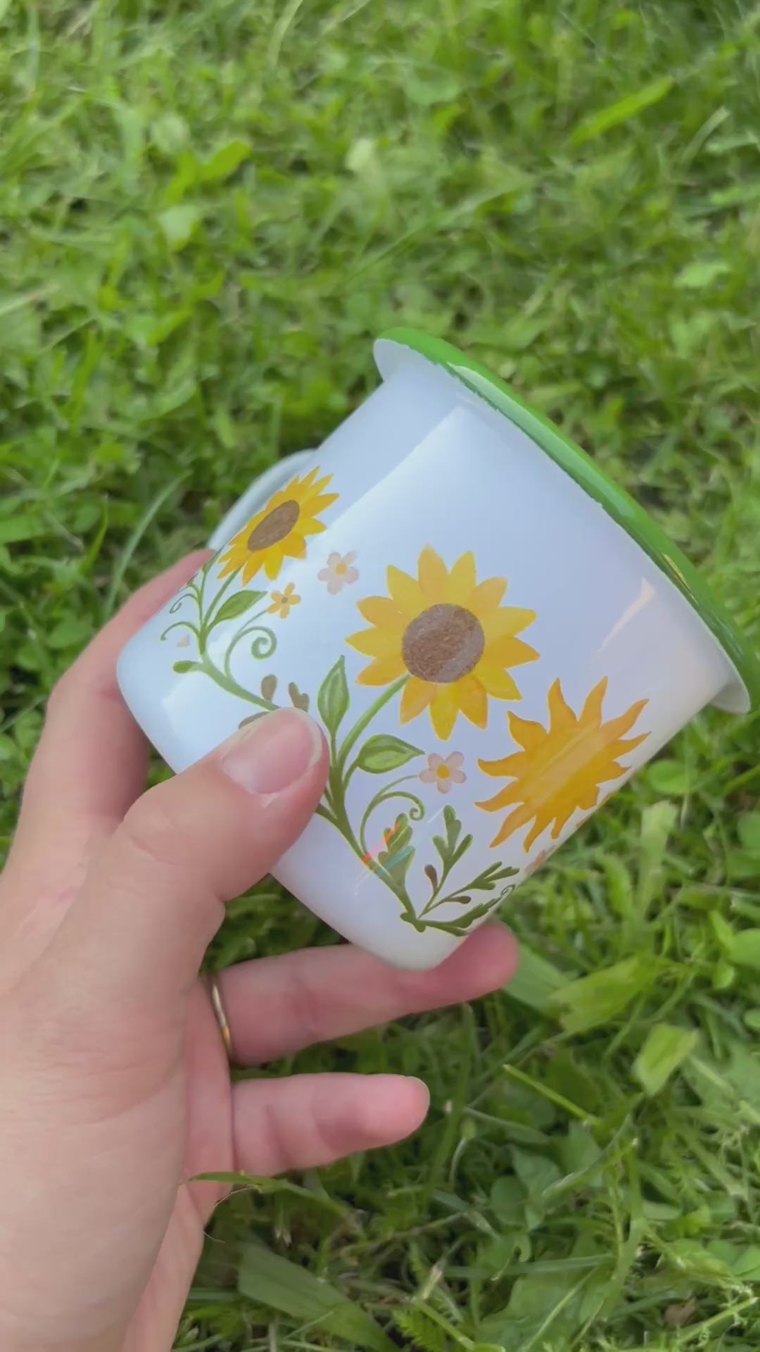 Plecháček Slunečnice