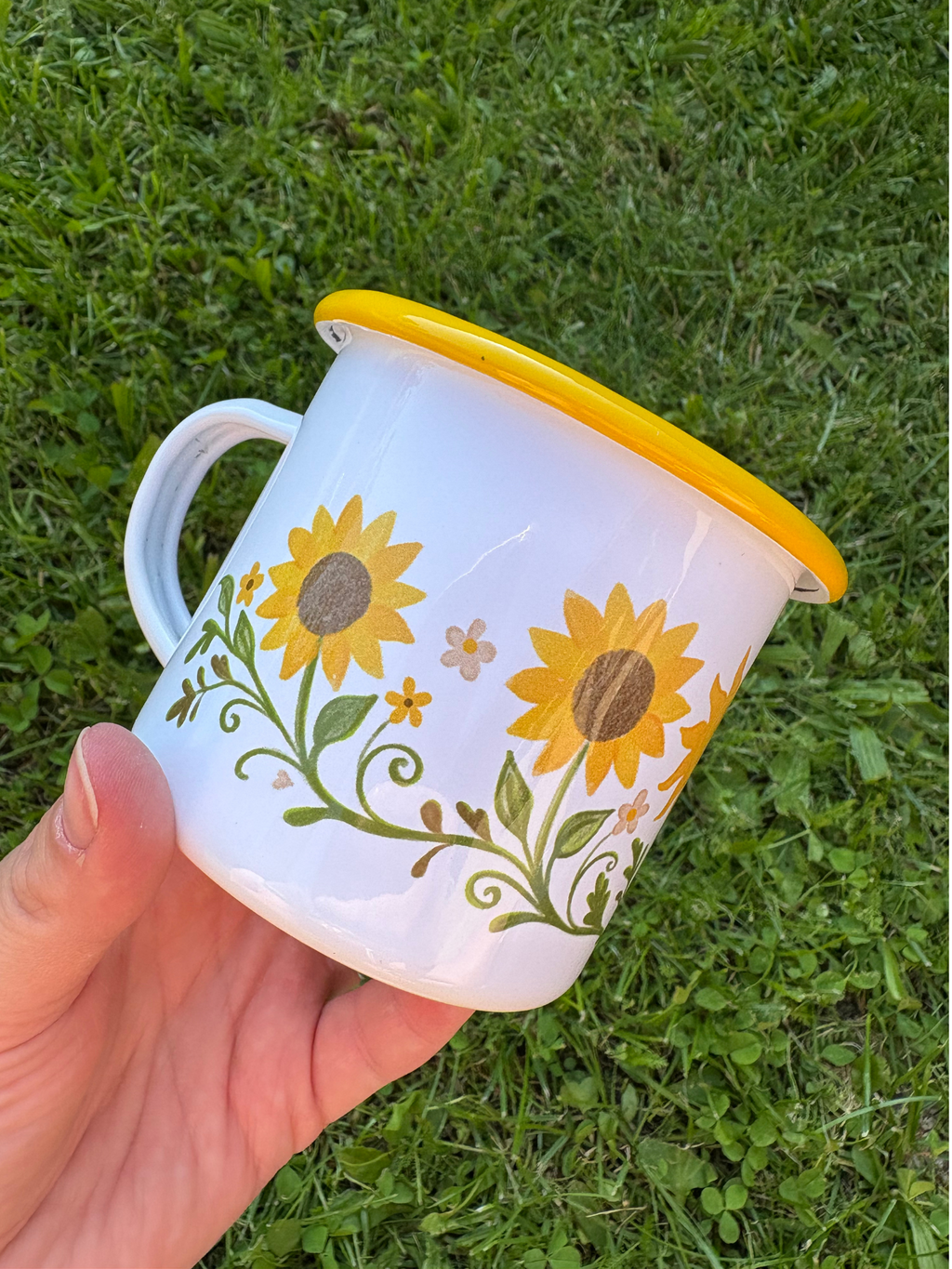 Plecháček Slunečnice