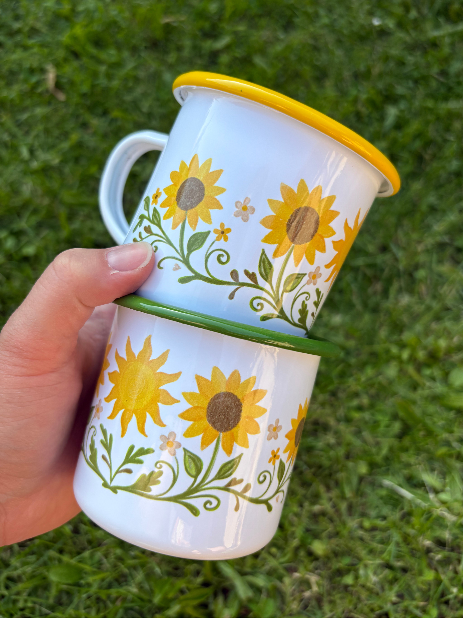 Plecháček Slunečnice