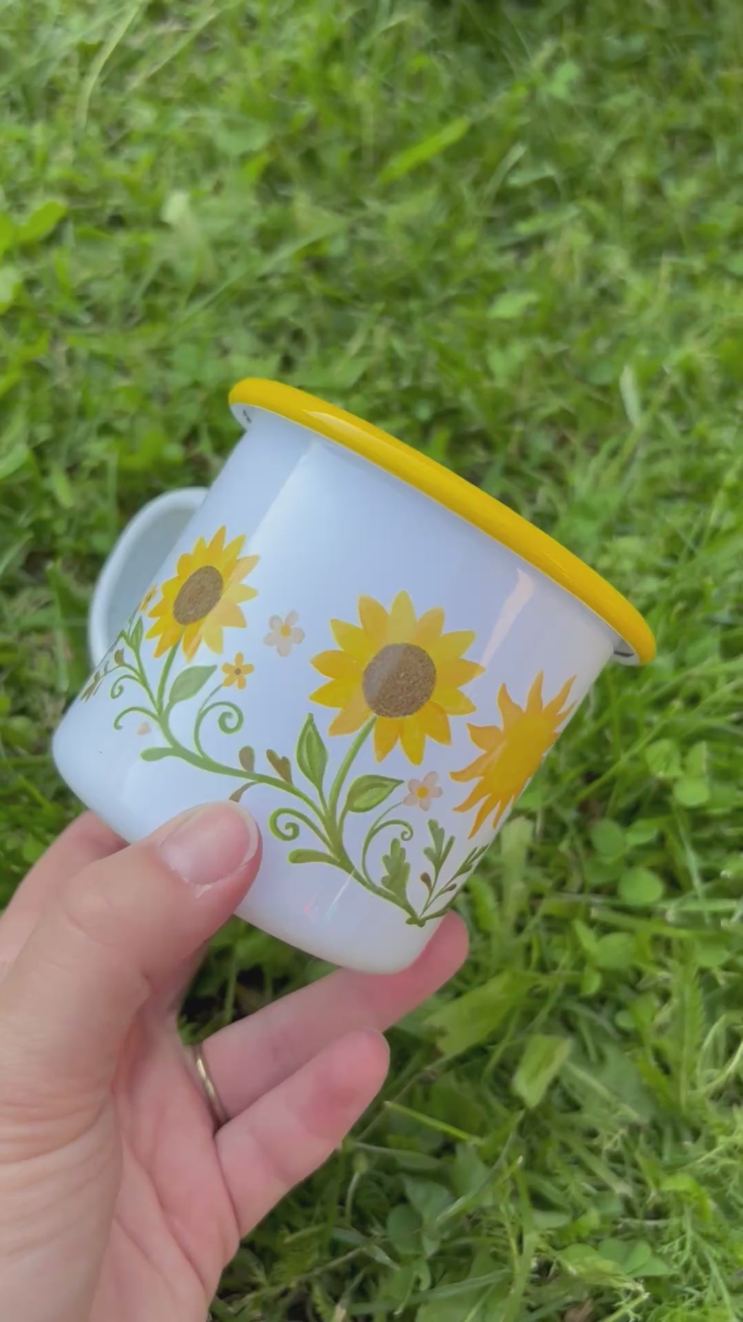 Plecháček Slunečnice